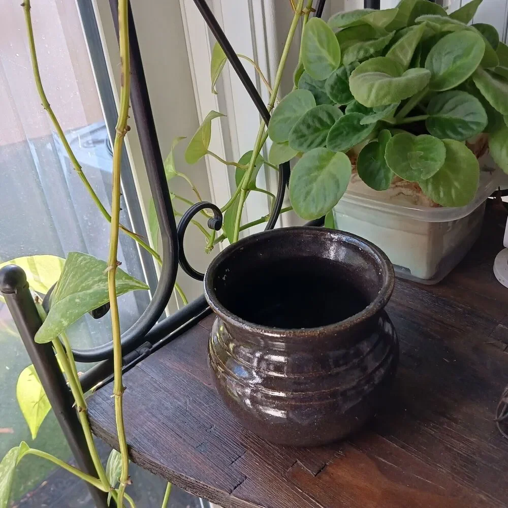 African Violet Plant Pot Stoneware Pottery 4